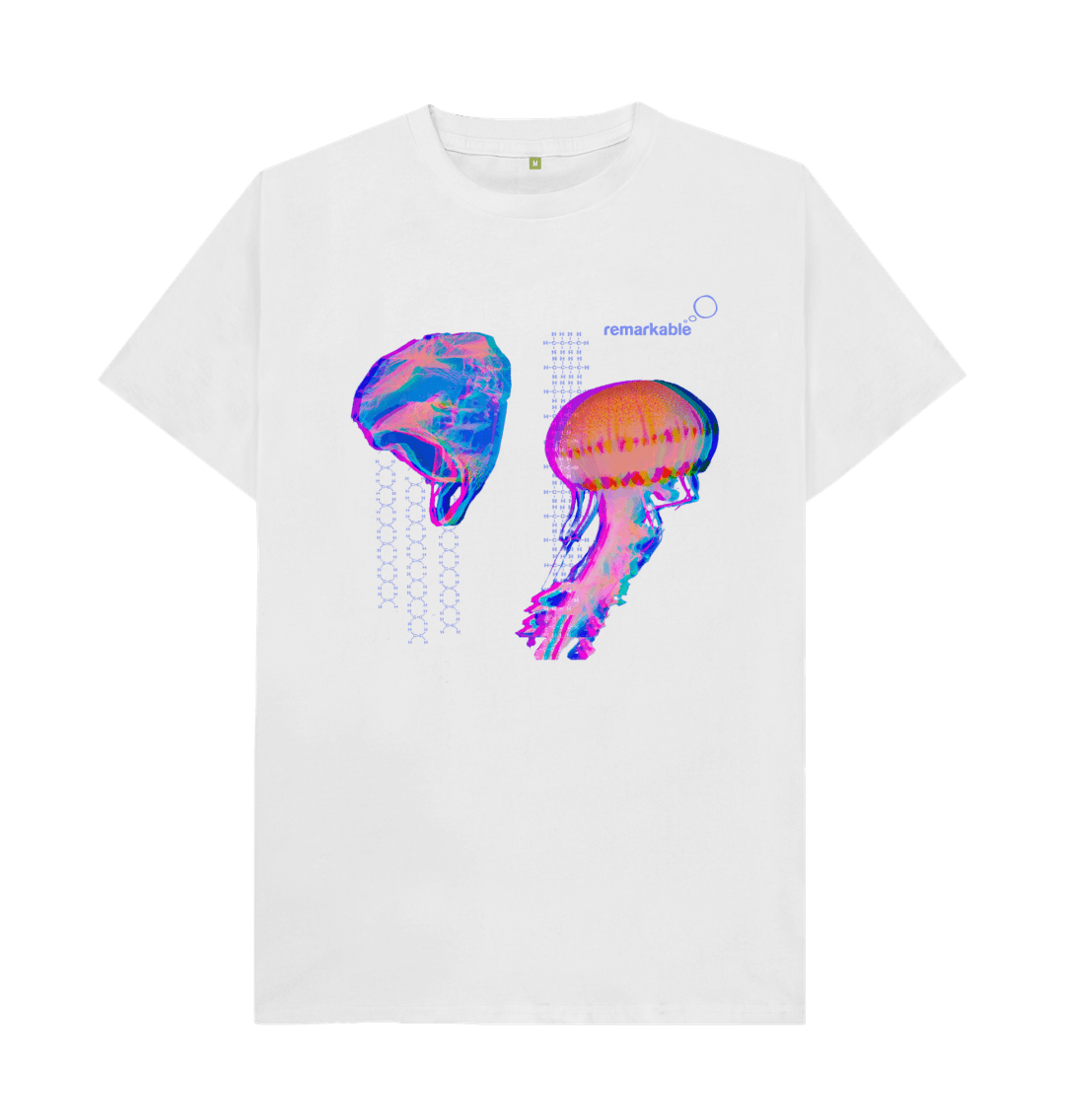 White Jellyfish Evolution1